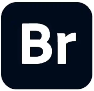 Bridge2026免费下载-Adobe Bridge 是由 Adobe 公司开发的一款跨平台的数字资产管理软件，主要用于快速浏览、组织、管理和处理图像、视频、音频等文件资源